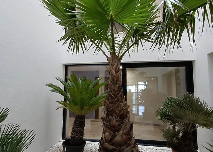 Baltic Wave A By Sunny Międzyzdroje